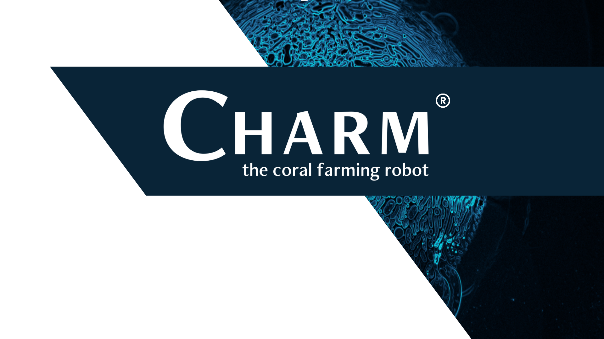 CHARM — the coral farming robot